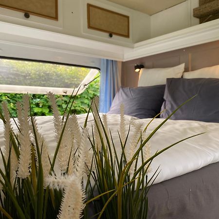 Caravan Stadstuin Goedereede Let Op De Badkamer Moet Met Andere Gasten Gedeeld Worden Luaran gambar